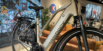 VanDijck Orion elektrische fiets